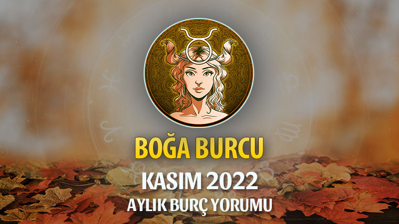 Boğa Burcu Kasım 2022 Yorumu