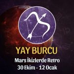 Yay Burcu - Mars Retrosu Buç Yorumu 30 Ekim 2022
