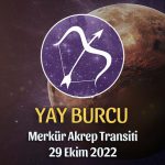 Yay Burcu - Merkür Akrep Transiti Yorumu 29 Ekim 2022