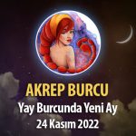 Akrep Burcu - Yeniay Yorumu 24 Kasım 2022