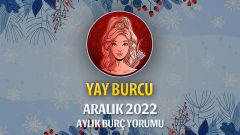 Yay Burcu Aralık 2022 Yorumu