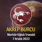 Akrep Burcu - Merkür Oğlak Transiti Burç Yorumu 7 Aralık 2022