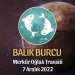 Balık Burcu - Merkür Oğlak Transiti Burç Yorumu 7 Aralık 2022