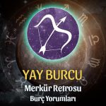 Yay Burcu - Merkür Retrosu Burç Yorumu