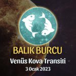 Balık Burcu - Venüs Transiti Burç Yorumu 3 Ocak 2023