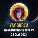 Yay Burcu - Yeni Ay Burç Yorumu 21 Ocak 2023