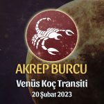 Akrep Burcu - Venüs Koç Transiti Yorumu, 20 Şubat 2023