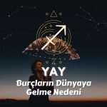 Yay Burcu - Dünyaya Gelme Nedeni