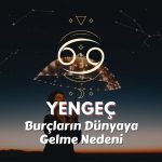 Yengeç Burcu - Dünyaya Gelme Nedeni