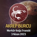 Akrep Burcu - Merkür Boğa Transiti Burç Yorumu 3 Nisan 2023