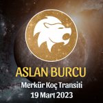 Aslan Burcu - Merkür Koç Transiti Yorumu