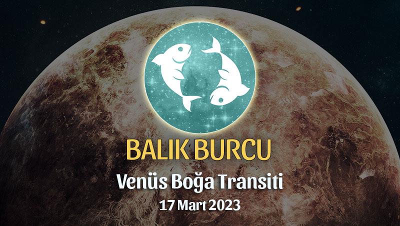 Balık Burcu - Venüs Boğa Transiti Yorumu