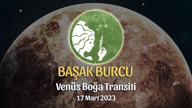 Başak Burcu - Venüs Boğa Transiti Yorumu