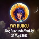 Yay Burcu - Yeni Ay Burç Yorumu 21 Mart 2023