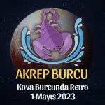 Akrep Burcu - Plüton Retrosu Burç Yorumları 1 Mayıs 2023