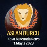 Aslan Burcu - Plüton Retrosu Burç Yorumları 1 Mayıs 2023