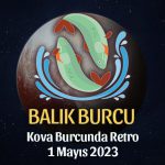 Balık Burcu - Plüton Retrosu Burç Yorumları 1 Mayıs 2023