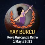 Yay Burcu - Plüton Retrosu Burç Yorumları 1 Mayıs 2023