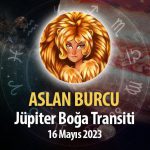 Aslan Burcu - Jüpiter Boğa Transiti Burç Yorumu