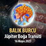 Balık Burcu - Jüpiter Boğa Transiti Burç Yorumu