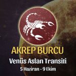 Akrep Burcu - Venus Aslan Transiti Burç Yorumu 5 Haziran 2023