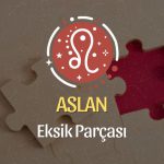 Aslan Burcu Eksik Parçası