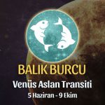 Balık Burcu - Venus Aslan Transiti Burç Yorumu 5 Haziran 2023