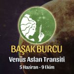 Başak Burcu - Venus Aslan Transiti Burç Yorumu 5 Haziran 2023