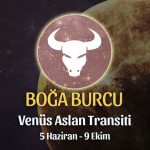 Boğa Burcu - Venus Aslan Transiti Burç Yorumu 5 Haziran 2023