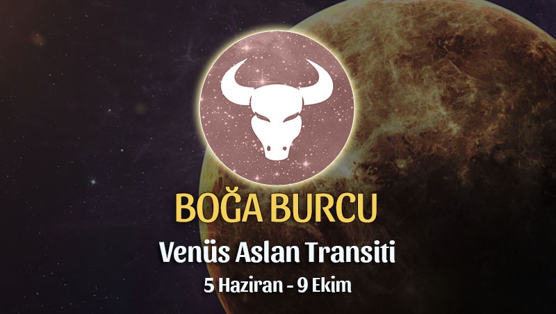 Boğa Burcu - Venus Aslan Transiti Burç Yorumu 5 Haziran 2023