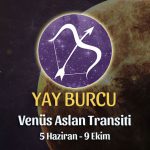 Yay Burcu - Venus Aslan Transiti Burç Yorumu 5 Haziran 2023