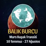 Balık Burcu - Mars Başak Transiti Yorumu