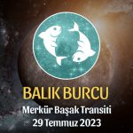 Balık Burcu - Merkür Başak Transiti Yorumu