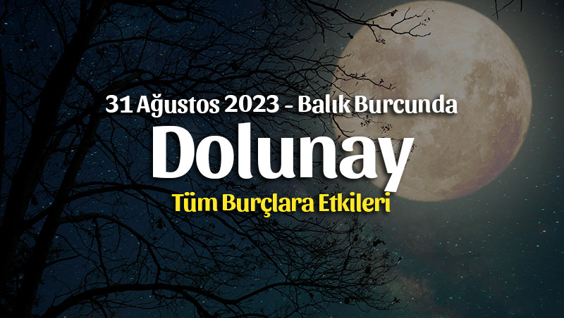 Balık Burcunda Dolunay Burç Yorumları – 31 Ağustos 2023