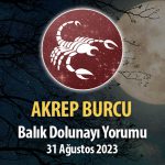 Akrep Burcu - Balık Dolunayı Burç Yorumu