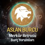 Aslan Burcu - Merkür Retrosu Yorumu 23 Ağustos 2023