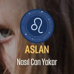 Aslan Burcu Nasıl Can Yakar