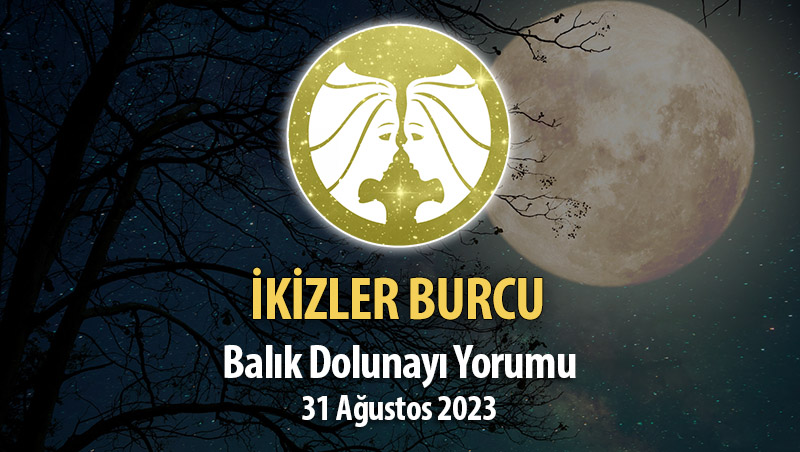 İkizler Burcu - Balık Dolunayı Burç Yorumu