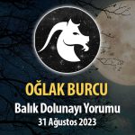 Oğlak Burcu - Balık Dolunayı Burç Yorumu