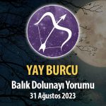 Yay Burcu - Balık Dolunayı Burç Yorumu