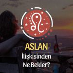 Aslan Burcu - İlişkisinden Ne Bekler?