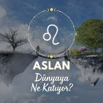 Aslan Burcu Dünyaya Ne Katıyor