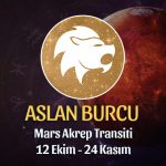 Aslan Burcu - Mars Akrep Transiti Yorumu