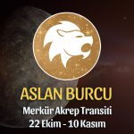 Aslan Burcu - Merkür Akrep Transiti Yorumu, 22 Ekim 2023
