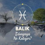 Balık Burcu Dünyaya Ne Katıyor