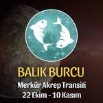 Balık Burcu - Merkür Akrep Transiti Yorumu, 22 Ekim 2023