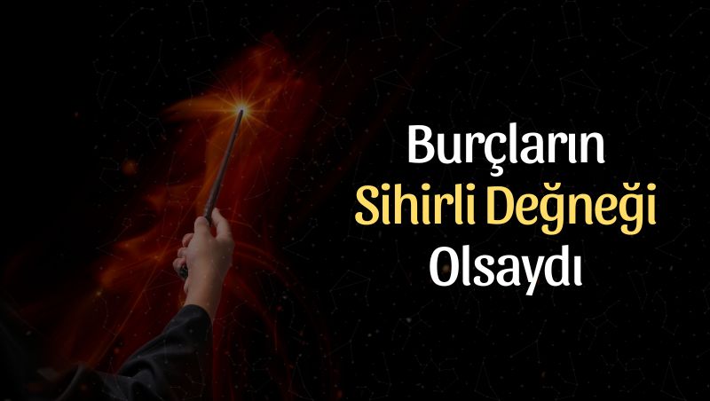 Burçların Elinde Sihirli Değneği Olsaydı