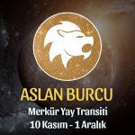 Aslan Burcu - Merkür Yay Transiti Yorumu 10 Kasım 2023