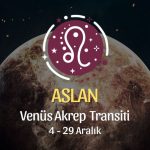 Aslan Burcu - Venüs Akrep Transiti Yorumu