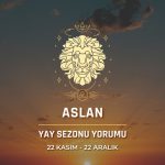 Aslan Burcu Yay Sezonu Burç Yorumu